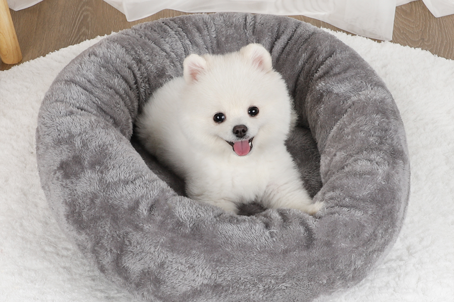 smart pet dryer box